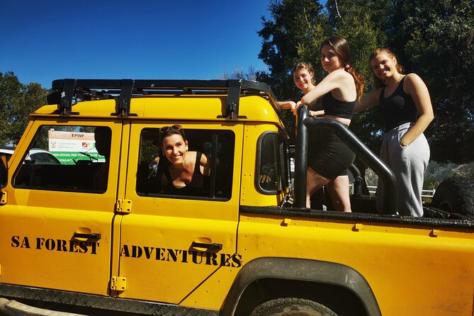 Knysna Ziplines Tour - Accessibility and Safety