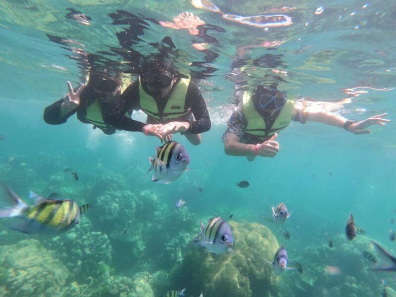 Ko Lanta: 4 Islands and Emerald Cave Day Tour by Speedboat - Highlights of the Tour