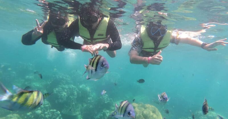 Ko Lanta: 4 Islands and Emerald Cave Day Tour by Speedboat - Important Information