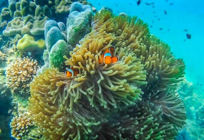 Ko Lanta: 4 Islands and Emerald Cave Snorkeling Trip - Travel Considerations