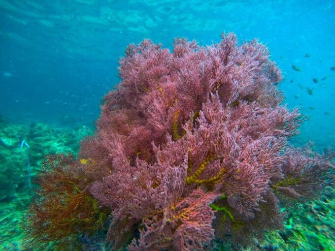 Ko Lanta: 4 Islands and Emerald Cave Snorkeling Trip - Frequently Asked Questions