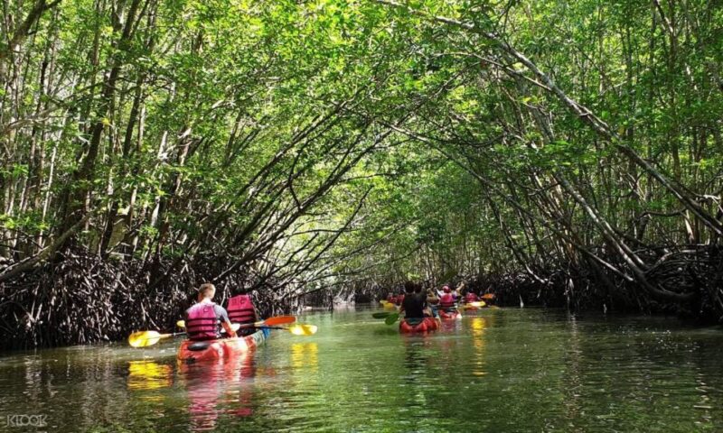 Ko Lanta: Amazon Mangrove Tour Kayaking Tour With Lunch - Key Points