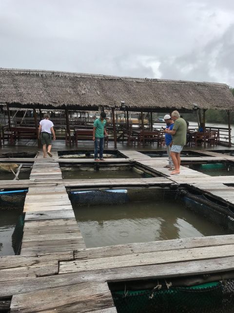 Ko Lanta: Amazon Mangrove Tour Kayaking Tour With Lunch - Recap