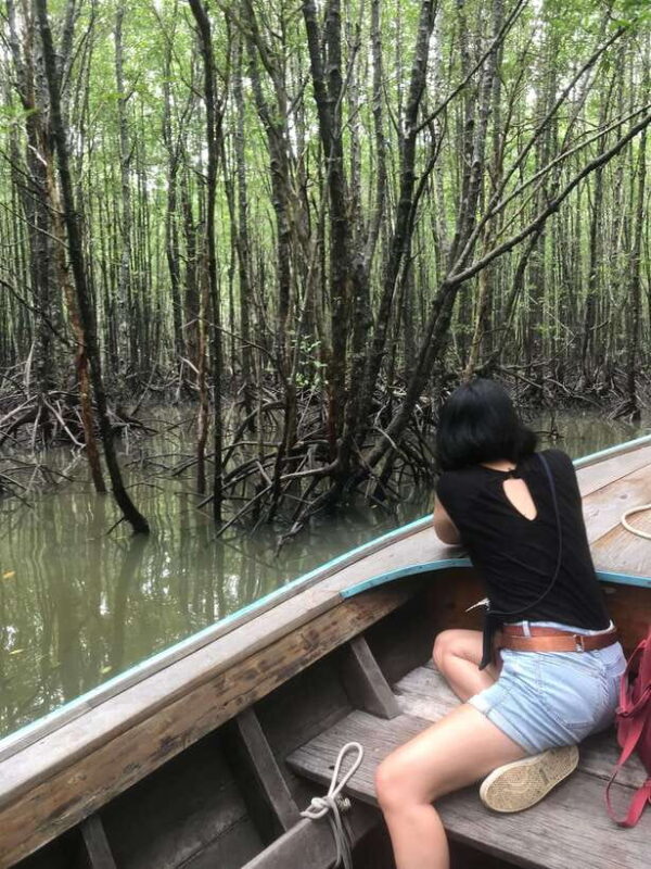Ko Lanta: EXPLORE MANGROVE TOUR BY LONGTAIL BOAT WITH LUNCH - Key Points