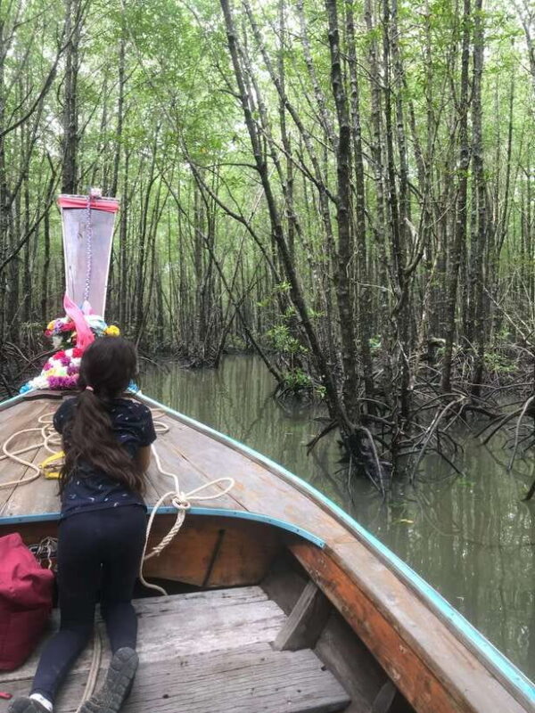 Ko Lanta: EXPLORE MANGROVE TOUR BY LONGTAIL BOAT WITH LUNCH - Itinerary Highlights