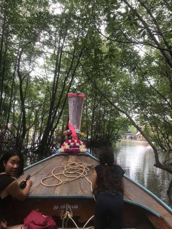 Ko Lanta: EXPLORE MANGROVE TOUR BY LONGTAIL BOAT WITH LUNCH - Nature Experience