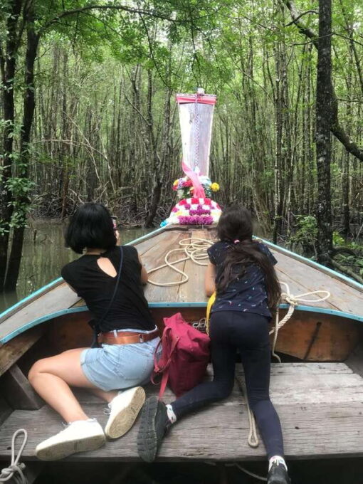 Ko Lanta: EXPLORE MANGROVE TOUR BY LONGTAIL BOAT WITH LUNCH - Mangrove Exploration
