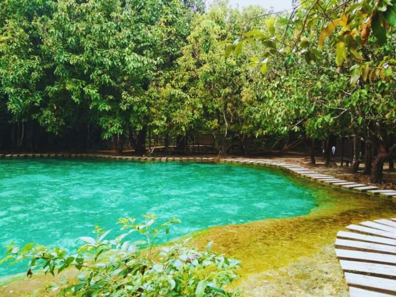 Ko Lanta: Full Day Emerald Pool&Hot Spring With Tiger Temple - What to Expect from This Day Trip