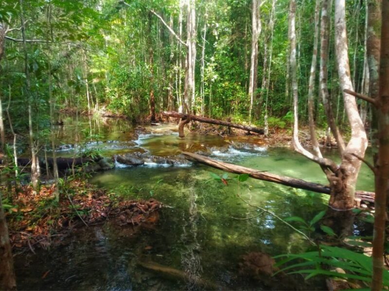 Ko Lanta: Full Day Jungle Tour With Tiger Temple - Hot Spring Waterfall Relaxation