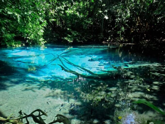 Ko Lanta: Full Day Jungle Tour With Tiger Temple - Frequently Asked Questions