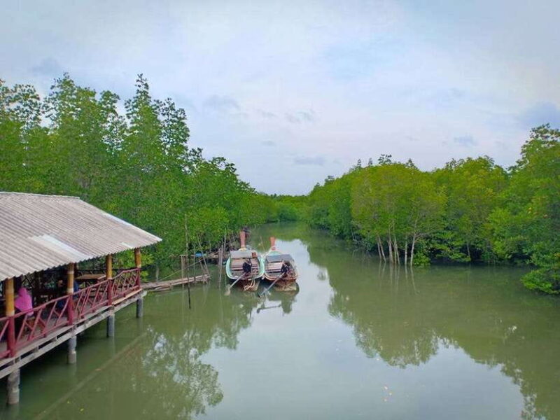 Ko Lanta: Half-Day Mangrove Boat Trip With Local Guide - Key Points