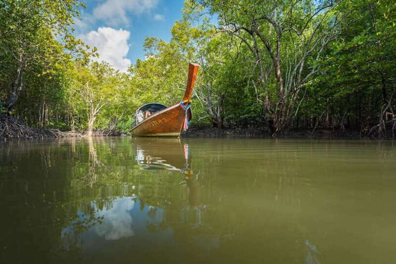 Ko Lanta: Half-Day Mangrove Boat Trip With Local Guide - Itinerary Highlights