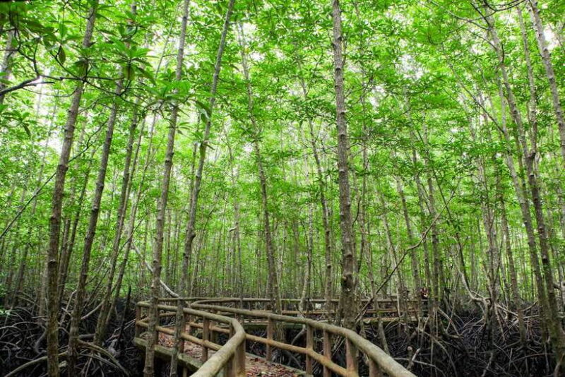 Ko Lanta: Half-Day Mangrove Boat Trip With Local Guide - Wildlife and Experience