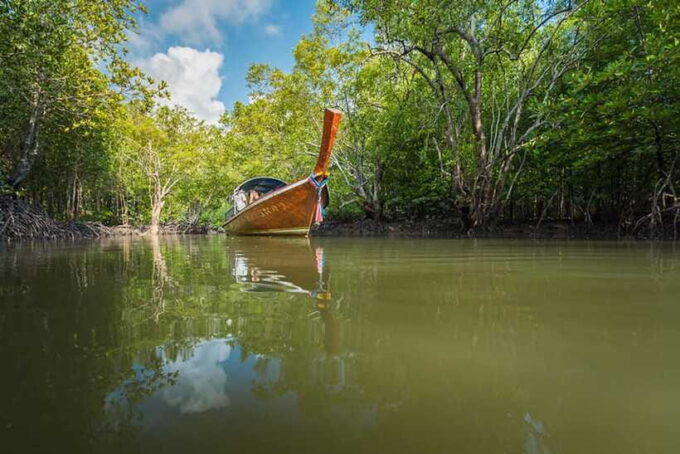 Ko Lanta: Half-Day Mangrove Boat Trip With Local Guide - What to Expect on the Tour
