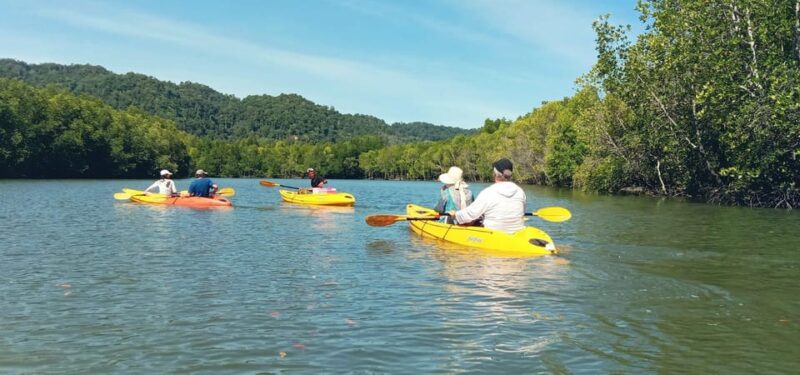 Ko Lanta: Half-Day Mangrove Eco Kayak Experience With Lunch - Key Points