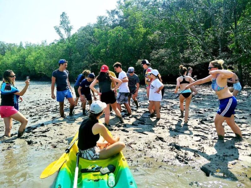 Ko Lanta: Half-Day Mangrove Eco Kayak Experience With Lunch - Kayaking Experience