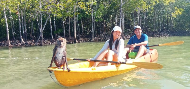 Ko Lanta: Half-Day Mangrove Eco Kayak Experience With Lunch - Wildlife Observation