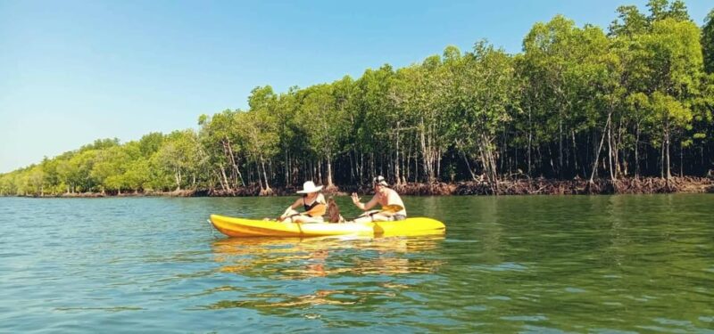 Ko Lanta: Half-Day Mangrove Eco Kayak Experience With Lunch - Natural Scenery