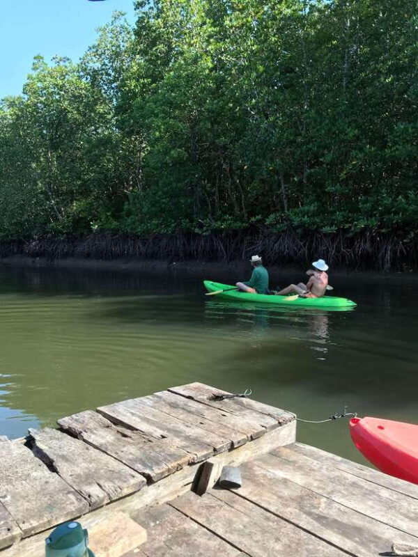 Ko Lanta: Half-Day Mangrove Kayaking Tour With Lunch - Highlights of the Tour
