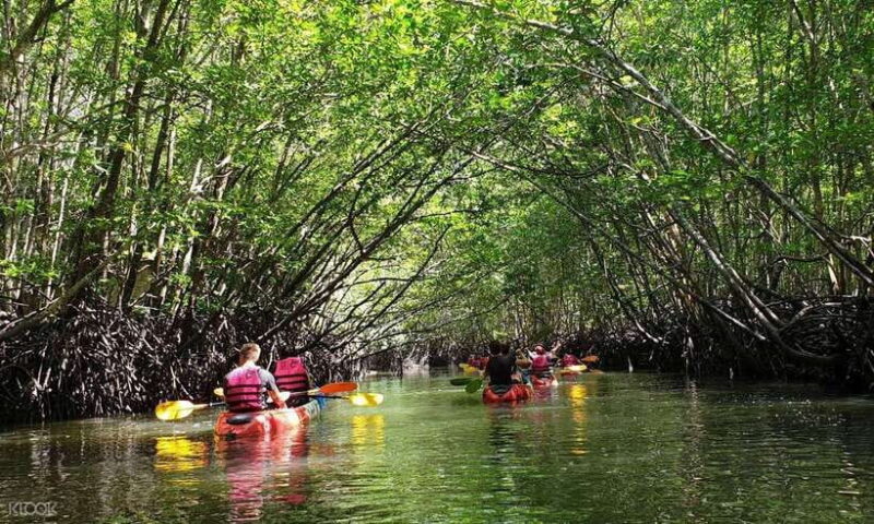 Ko Lanta: Half-Day Mangrove Kayaking Tour With Lunch - Whats Included