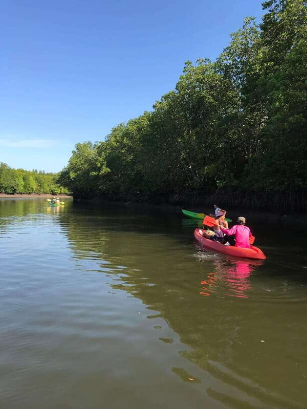 Ko Lanta: Half-Day Mangrove Kayaking Tour With Lunch - Pickup and Drop-off