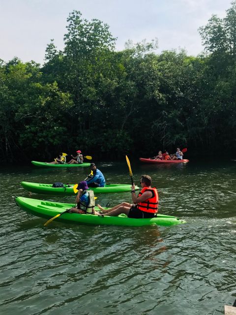 Ko Lanta: Half-Day Mangrove Kayaking Tour With Lunch - Wildlife Encounters