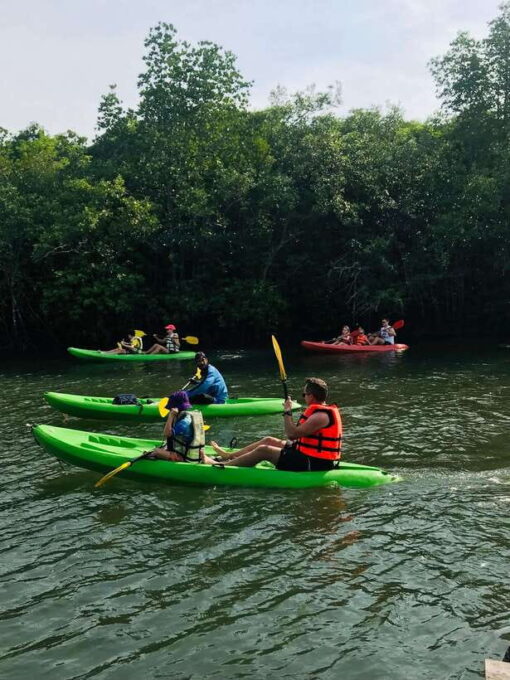 Ko Lanta: Half-Day Mangrove Kayaking Tour With Lunch - Village Visit and Local Fish Farm