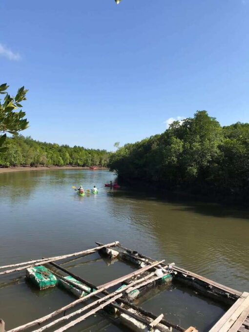 Ko Lanta: Half-Day Mangrove Kayaking Tour With Lunch - Post-Kayaking Lunch