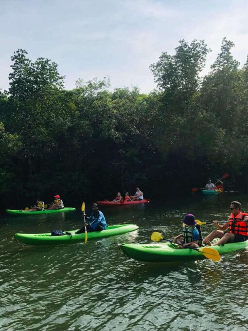 Ko Lanta: Half-Day Mangrove Kayaking Tour With Lunch - Frequently Asked Questions