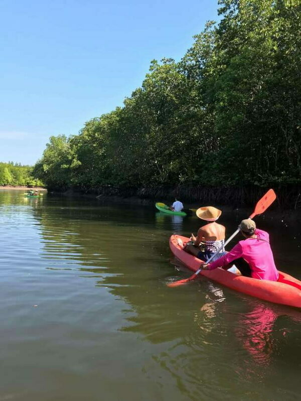 Ko Lanta: Half-Day Mangrove Kayaking Tour with Lunch - Key Points