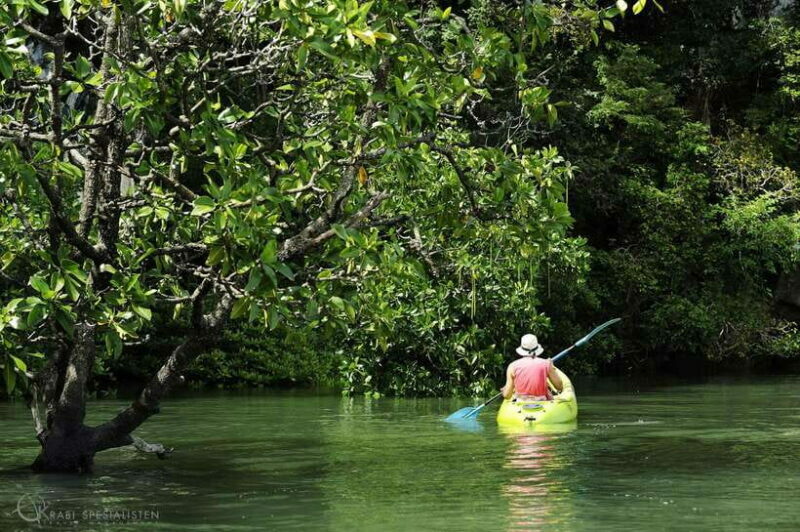 Ko Lanta: Half-Day Mangrove Kayaking Tour with Lunch - Lunch and Refreshments