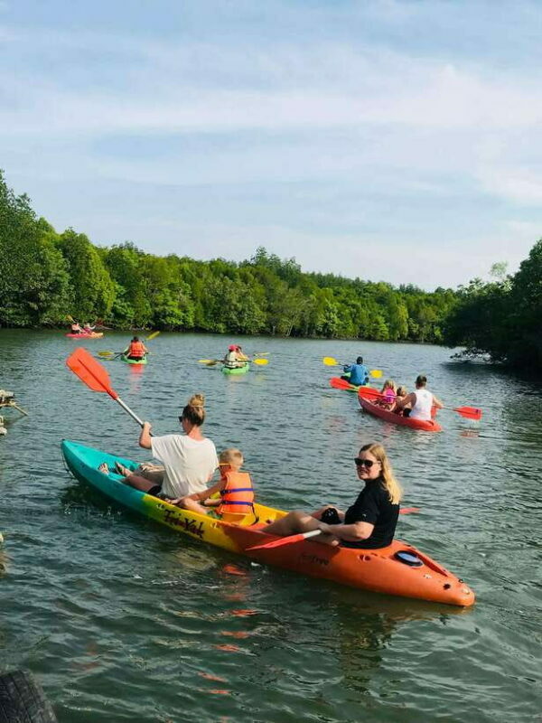 Ko Lanta: Half-Day Mangrove Kayaking Tour with Lunch - Who Will Love This Tour?