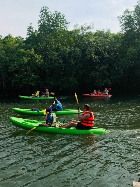 Ko Lanta: Half-Day Mangrove Kayaking Tour with Lunch - Final Thoughts