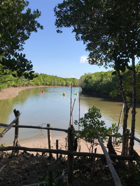 Ko Lanta: Half-Day Mangrove Kayaking Tour With Lunch - Inclusions