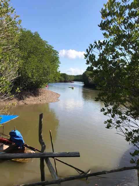 Ko Lanta: Half-Day Mangrove Kayaking Tour With Lunch - Frequently Asked Questions