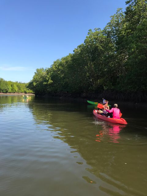 Ko Lanta: Half-Day Mangrove Kayaking Tour With Lunch - Recap