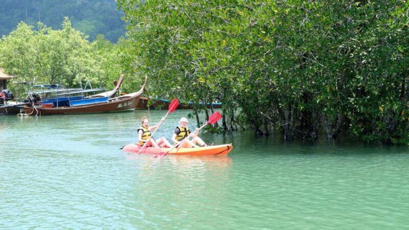 Ko Lanta: Half-Day Mangrove Kayaking With Lunch - Key Points
