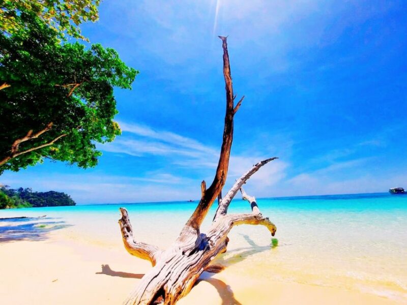 Ko Lanta: Koh Rok & Koh Haa Snorkelling Tour by Speedboat - Itinerary Highlights