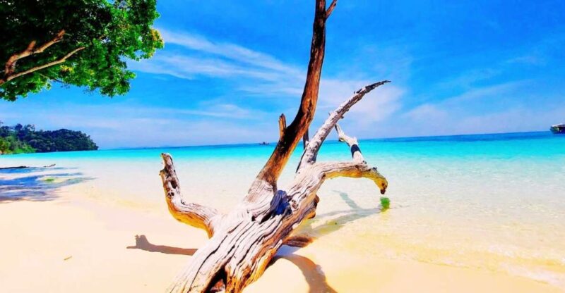 Ko Lanta: Koh Rok & Koh Haa Snorkelling Tour by Speedboat - Snorkeling Experience
