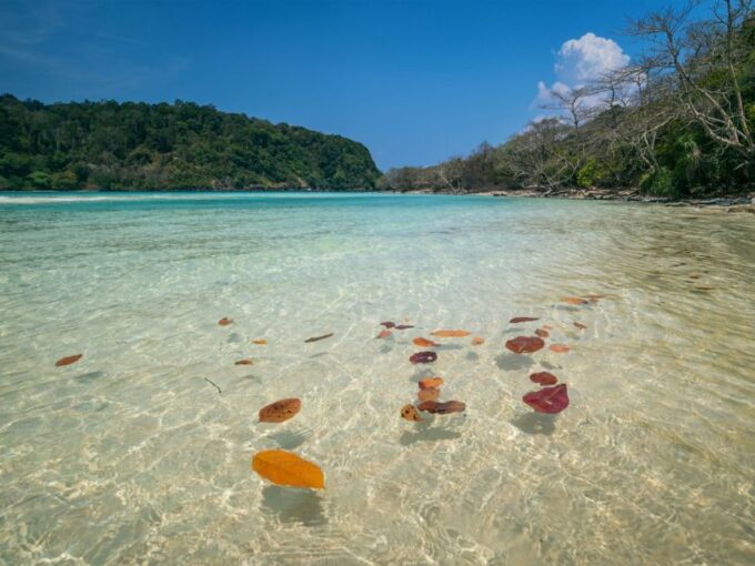Ko Lanta: Koh Rok & Koh Haa Snorkelling Tour by Speedboat - Customer Feedback