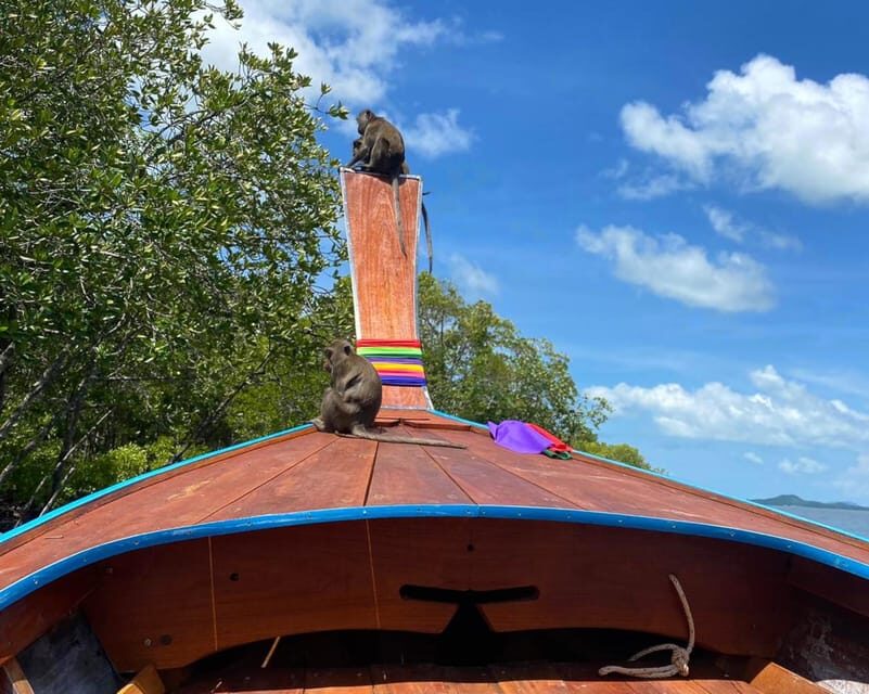 Ko Lanta: Mangrove Forest and Old Town Private Tour - Feeding and Photographing Monkeys