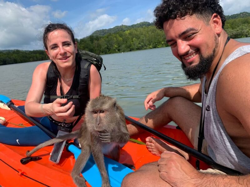 Ko Lanta: Mangrove Forest Kayak & Wildlife Adventure - Tour Duration and Inclusions