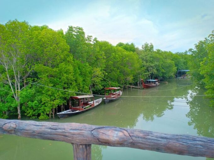 Ko Lanta: Mangrove Kayaking Half-Day Tour - Kayaking and Wildlife