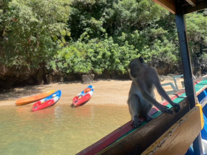 Ko Lanta: Mangrove Kayaking, Ko Talabeng, & Skull Island - Key Points