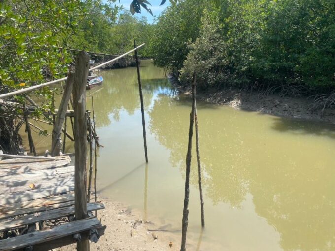 Ko Lanta: Mangrove Kayaking, Ko Talabeng, & Skull Island - Wildlife and Scenic Views