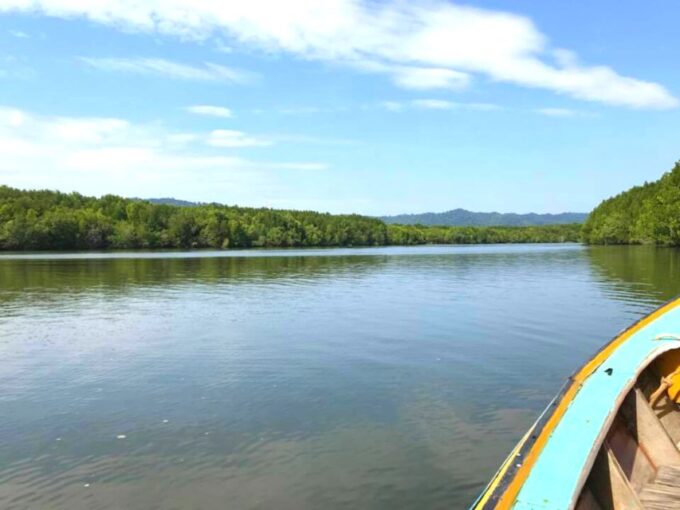 Ko Lanta: Mangrove Tour by Long Tail Boat - Booking and Availability