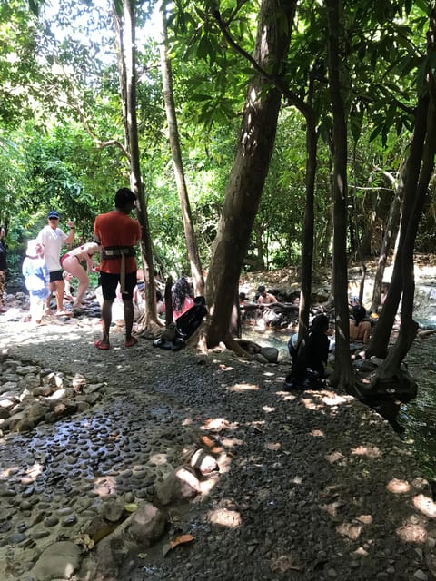 Ko Lanta: Mangrove Tour, Emerald Pool Tour, Hot Springs Tour - Highlights of the Mangrove Tour