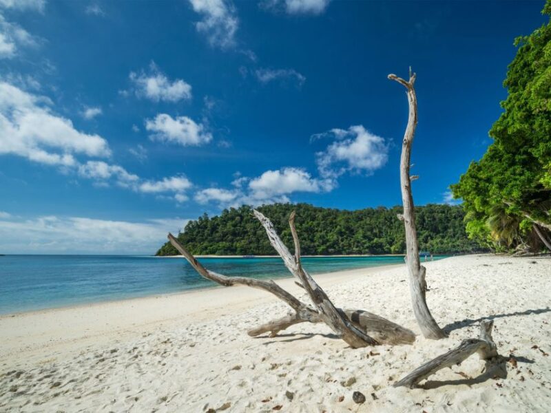 Ko Lanta: Private Longtail Rok Island Snorkeling Day Trip - Important Information