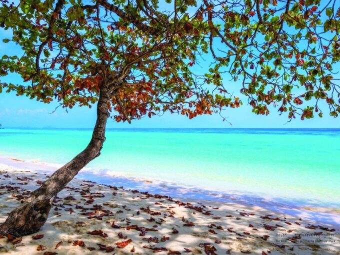 Ko Lanta: Private Longtail Rok Island Snorkeling Day Trip - Travel and Pickup