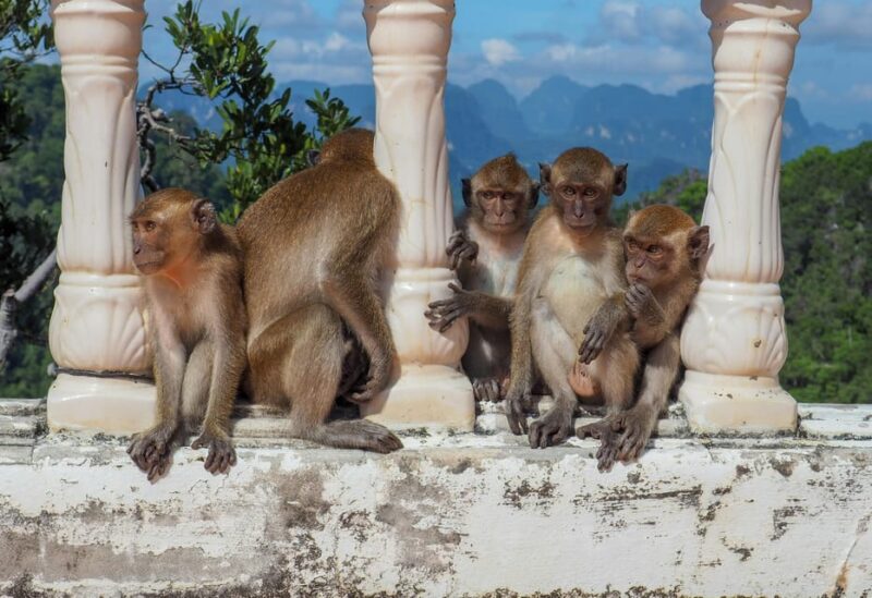Ko Lanta: Private Tiger Cave, Hot Spring & Emerald Pool Tour - Relaxing in Krabi Hot Springs